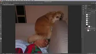 PS Painting 11 Smart Filter Surface Blur
