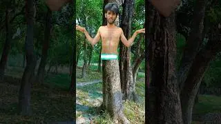 ￼ Save Tree￼￼Or Rote Bilakhte Animals and bird #funny #shortsfeed #shorts #youtubeshorts #saveoxigen