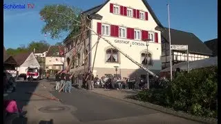 Schöntal TV: Maibaumstellen in Schöntal 2019