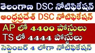 TS DSC Notification latest news today 2019 - AP DSC Notification latest news today 2019