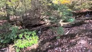 Hiking from Minnewaska to Awosting and back to Minnewaska (10/24/2025).