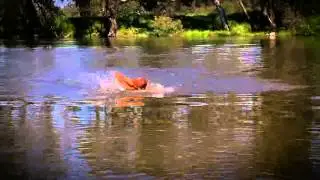 Safe swimming in the river