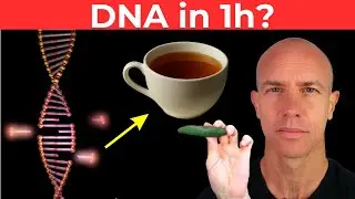 Assumilo ogni mattina e ripara il tuo DNA? Cambiamenti visibili dopo 1 ora!