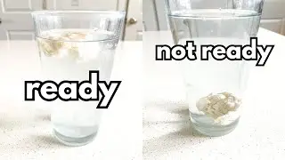 Is Your Starter Ready? Test with a Sourdough Float Test