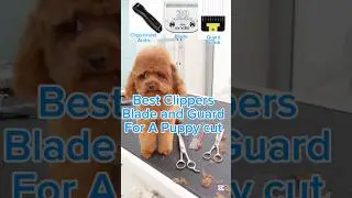 Best Clipper, Blade and guard for a puppy Cut to all dogs #howto #yourdog #grooming #shorts #viral