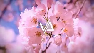 Jay Sarma & Almebo - Lizzy Boo [VarioMusic Release]