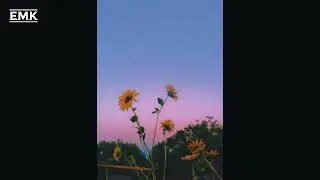 [FREE] 