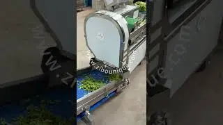 Lettuce washing machine salad washer #foodmachinery #industrialequipment