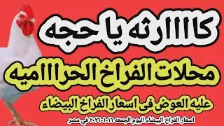 اسعار الفراخ البيضاء اليوم/ سعر الفراخ البيضاء اليوم الجمعه ١٦-١-٢٠٢٦ في مصر جمله وقطاعي