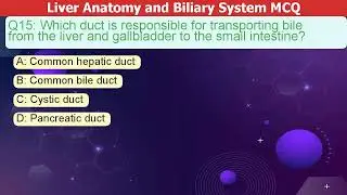 Liver Anatomy and Biliary System MCQ Explained