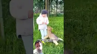 12 September 2024 Rescuing a PUPPY in a BLIZZARD - SHOCKING Discovery! (Heartwarming)