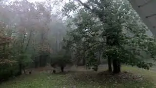 Hurricane Helene Winds (Real Lies by Dock Turf Hill)