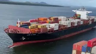 Sea container logistics services. Cargo transportation by sea and ocean. IEC.