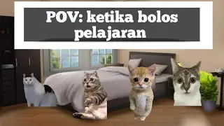 POV: when skipping class (1) || funny cat drama || Cat Meme || #catmeme