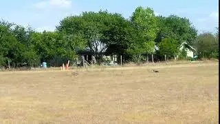 VID 20170806 163209
