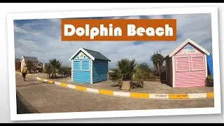 Dolphin Beach | Jeffrey's Bay | South Africa