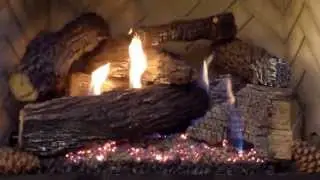Empire's Super Wildwood Gas Log Set By Clarke Distributing Company