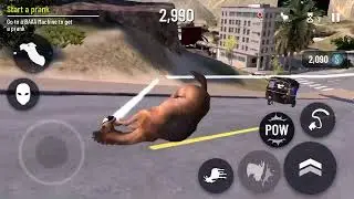 CRAZY CAMEL!