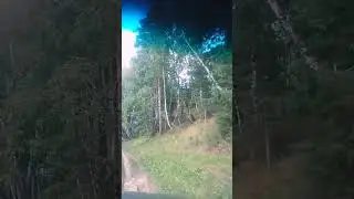 12 августа 2024 г.