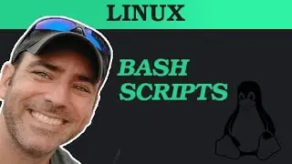Learn The Linux Shell 03