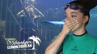 #3 PANIEK tijdens DUIKEN met HAAIEN! | Ochtendmix Summerbreak