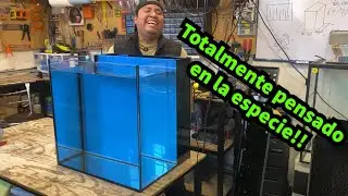 Pecera para caballitos de mar | acuario para caballitos de mar