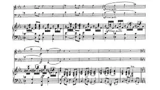 Salomon Jadassohn : Piano Trio no. 3 in C minor, Op. 59 (performed by Syrius Trio)