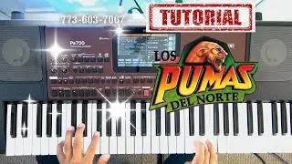 Ojitos Negros, los Pumas del Norte, Tutorial Facil y rapido