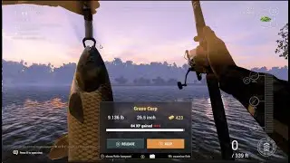 Fishing Planet - Sander Baggersee Lake - Grass Carp