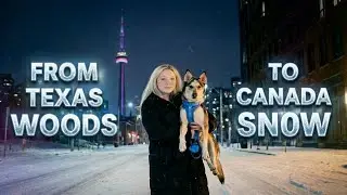 This is What Our First 24 Hours as Rescue Dog Foster Parents Looked Like