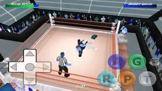 How to steal opponents finisher in wr3d