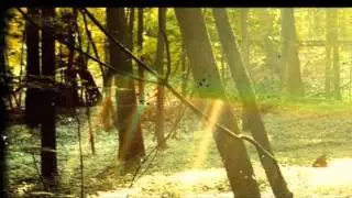Childish Gambino - Letter Home