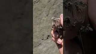 Extreme field testing of Rapt slide plates (pt. 1)