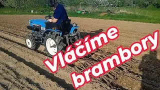 Snaž&iacute;me se pěstovat brambory 2025