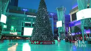 The LA Kings Holiday Ice Rink at L.A. LIVE Is Back!