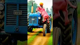 ai cow video ai hindi story ai hindi video ai urdu video ai urdu video ai love story factory ai vib