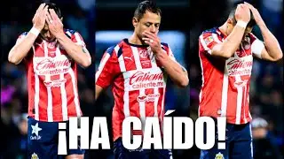 CHICHARITO HA CA&Iacute;DO