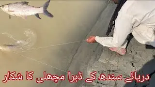 dambara machli ka shikar | Dambra fish hunting