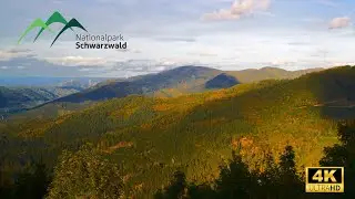 Der Schwarzwald im Herbst - 4K WideScreen - The Black Forest at Fall 4K WideScreen