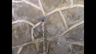 Ordubad Duylun Novruz senliyi