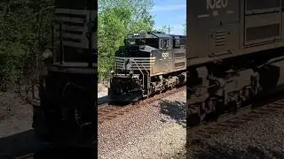 Train Horn Salute Fast Train!  Awesome Crew!  JawTooth Shorts