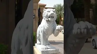 📞6378789680 Makrana Marble Tiger statue installed in Abu Dhabi UAE Dubai #statue #uae #makrana