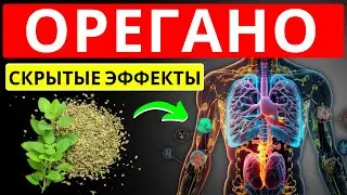 ИСПОЛЬЗОВАНИЕ ОРЕГАНО МОЖЕТ ВЫЗВАТЬ ЭТИ ПОСЛЕДСТВИЯ ДЛЯ ВАШЕГО ЗДОРОВЬЯ