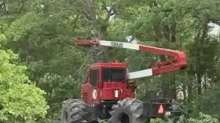 TSE Timberland Tree Trimmer Operational Video