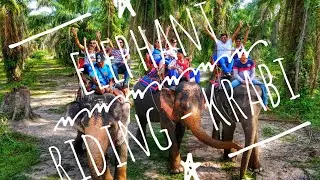 Elephant riding - Krabi, Thailand