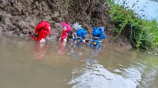 Hunting Sonic The Hedgehog:Sonic/Knuckles/Silver/Shadow/Metal Sonic/Tails/Amy Rose/Egg Man/Robotnic