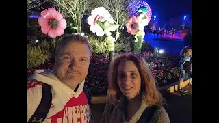 Live!  EPCOT International Flower and Garden Festival  2025! Food, Topiaries, and Merch!!