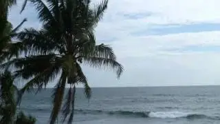 Шри-Ланка, Galle District, Хиккадува - Nippon Villa Beach Resort 2 Star