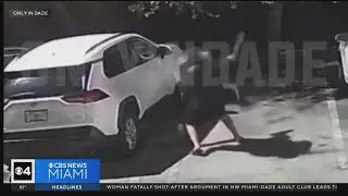 Caught on camera: MMA fighter stops knife attacker