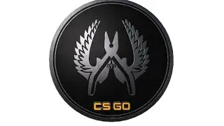 CS:GO - 15 Collectible Pin Opening * COLOGNE 2015